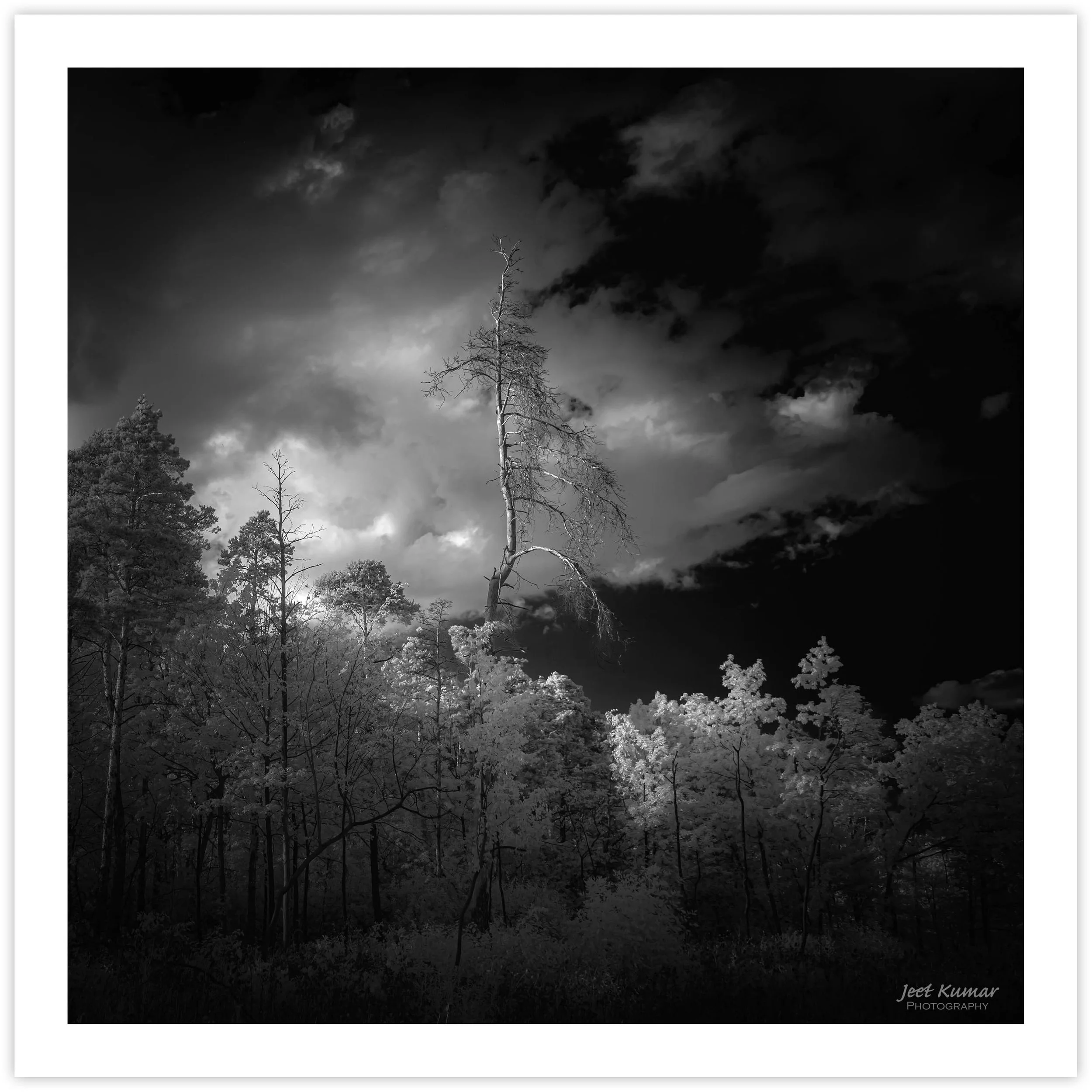 The Sun's Parting Gaze (III)