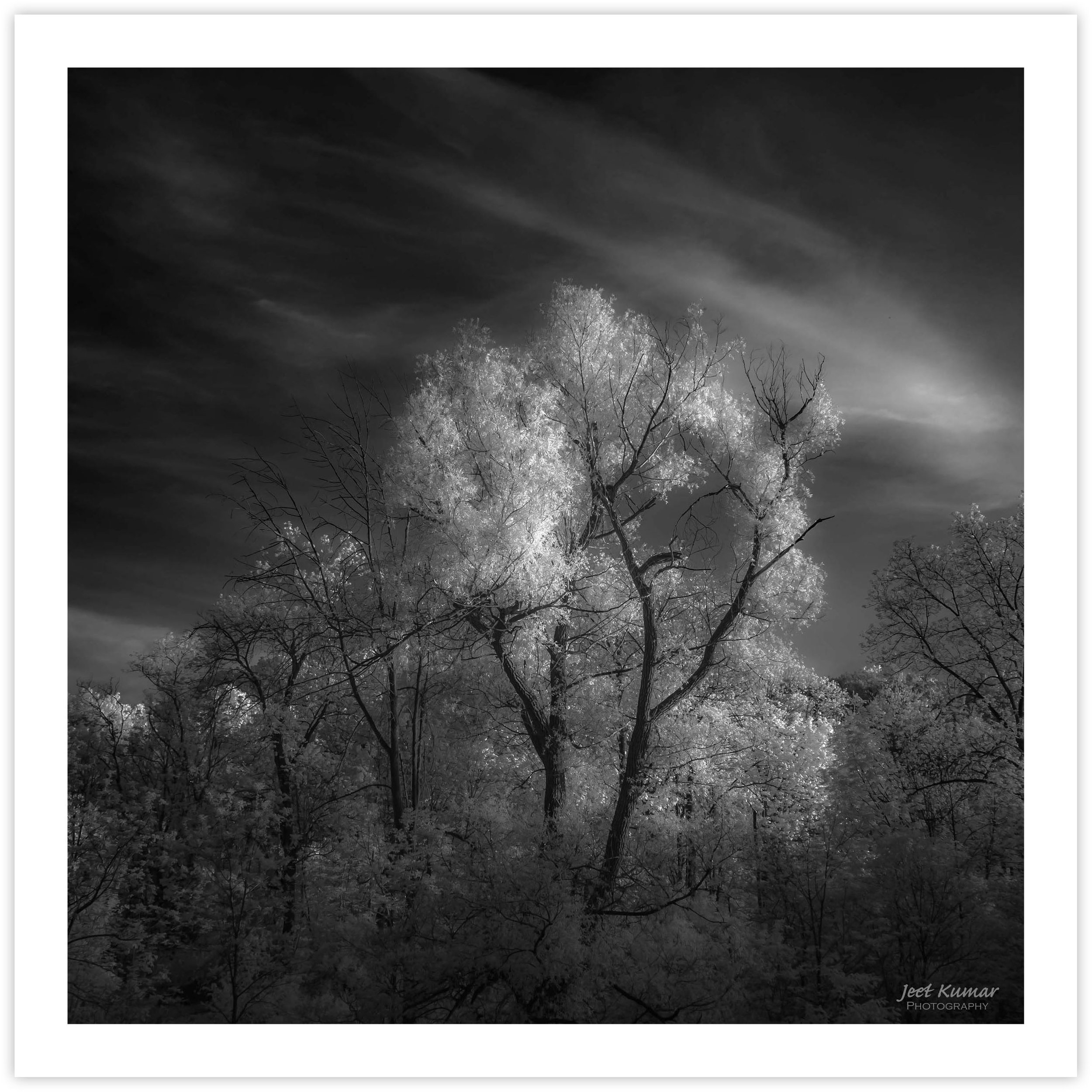 Light Passages