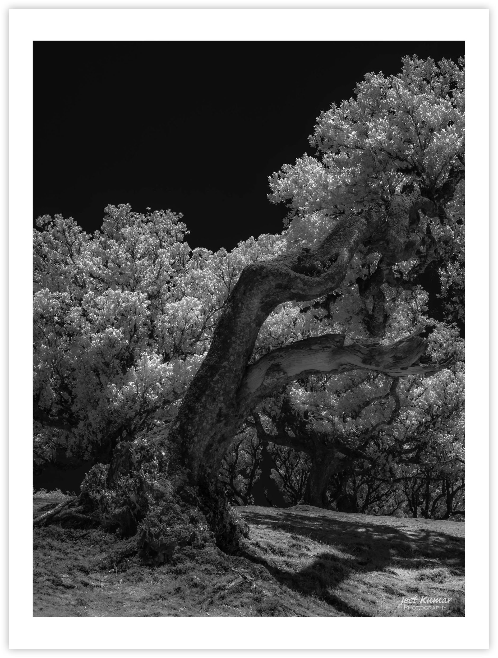 The sheltered mind (II)