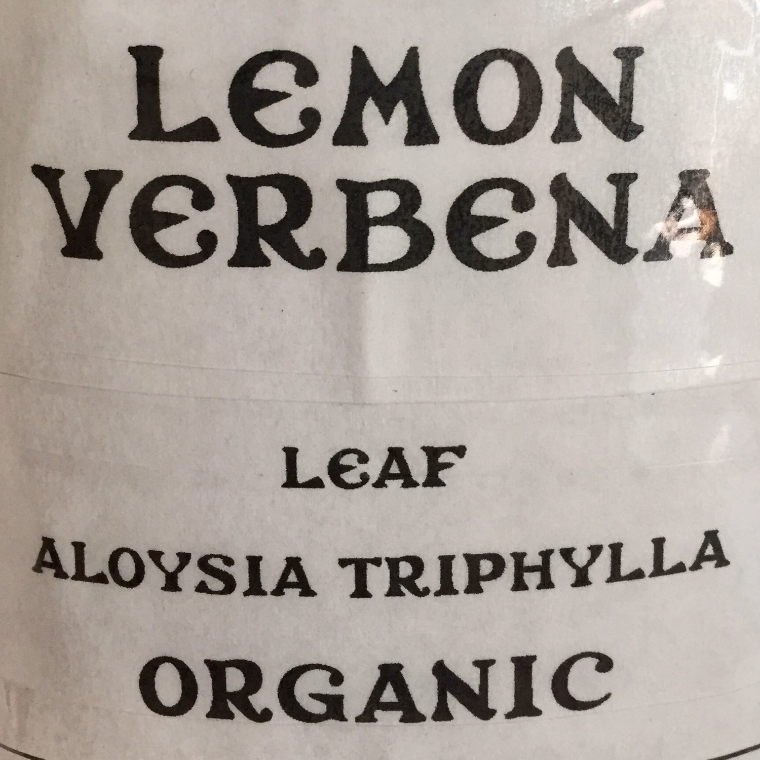 Lemon Verbena  National Garden Clubs, Inc.