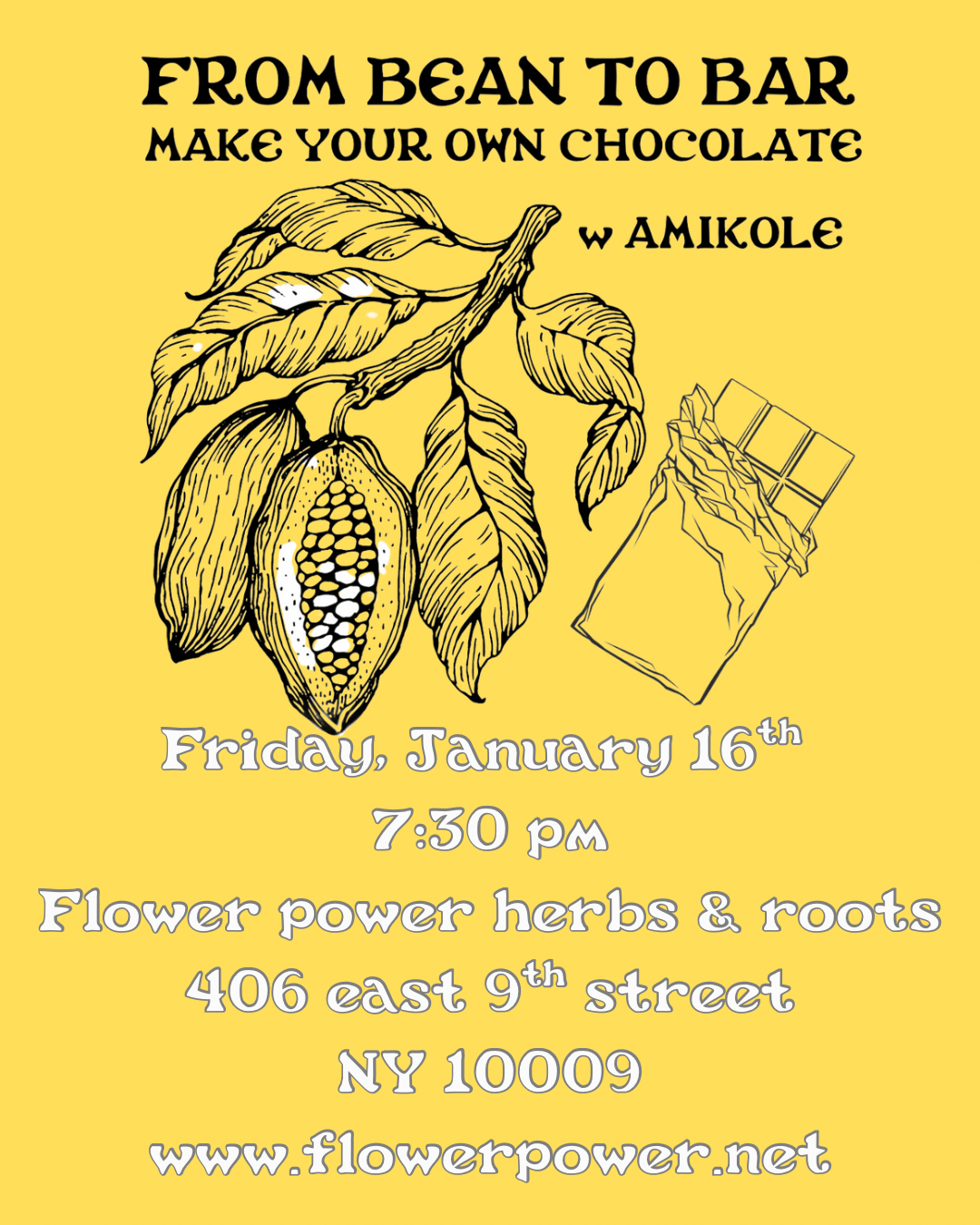 From bean to bar Chocolate making with Amikole