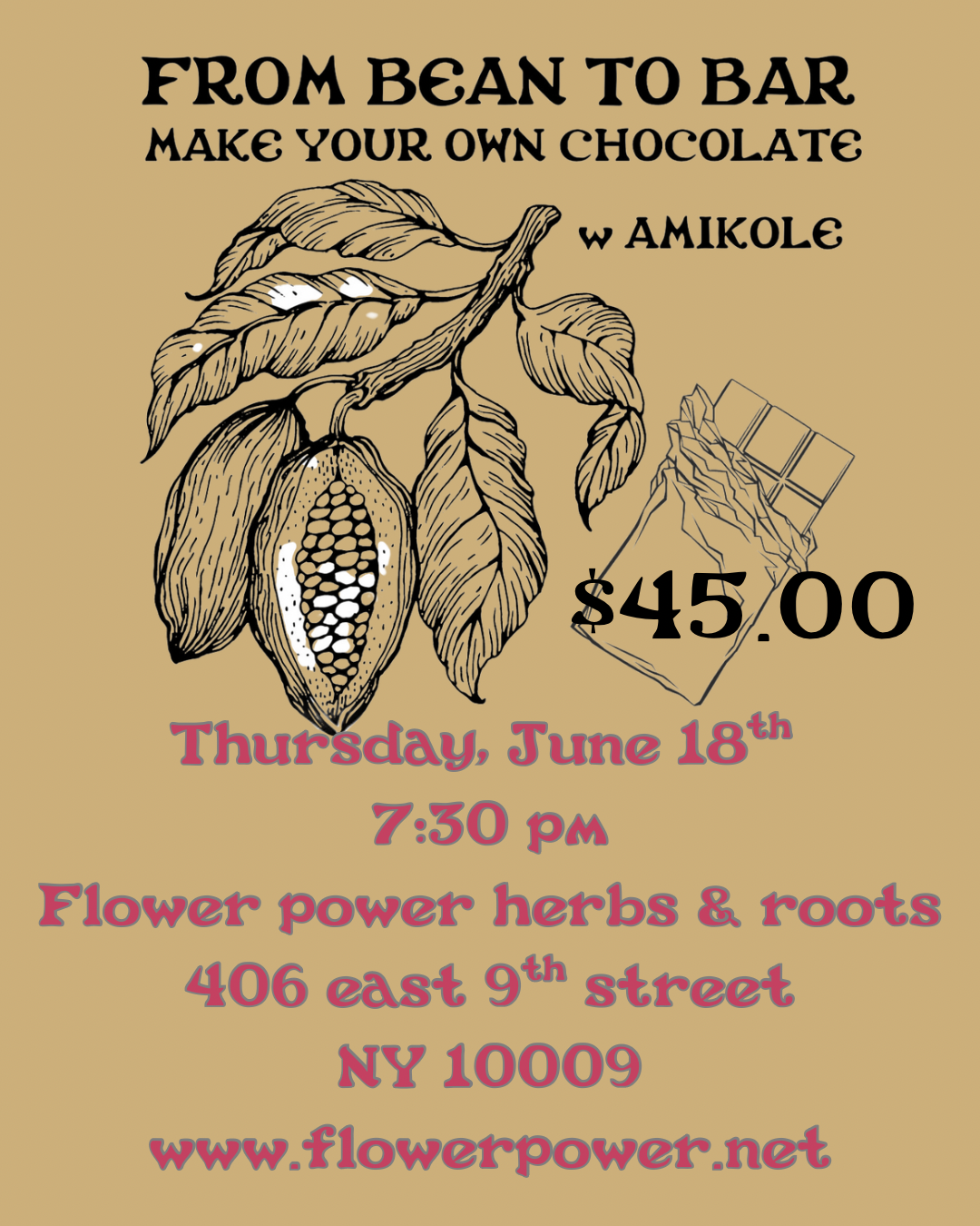 From bean to bar Chocolate making with Amikole