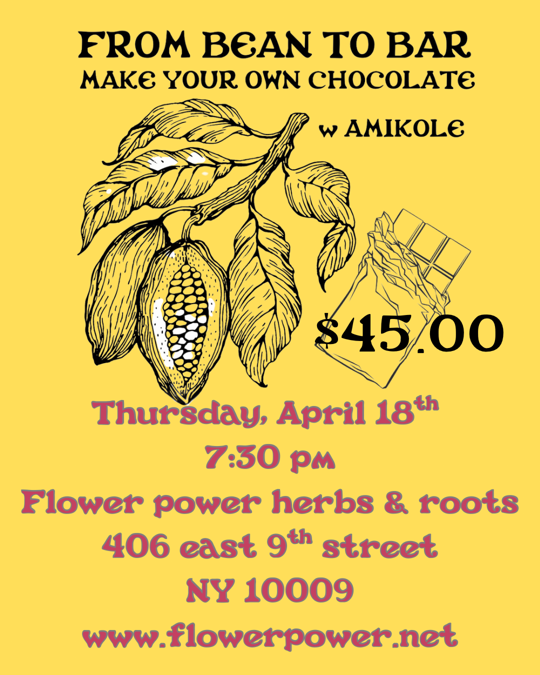 From bean to bar Chocolate making with Amikole