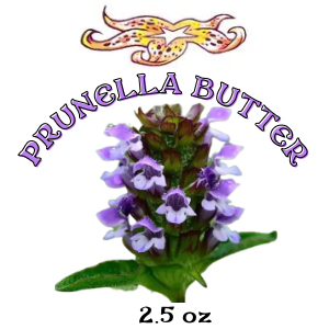 Untitled (1.5 × 1.5 in) (1 × 1 in) (1 × 1 in) (1 × 1 in).png