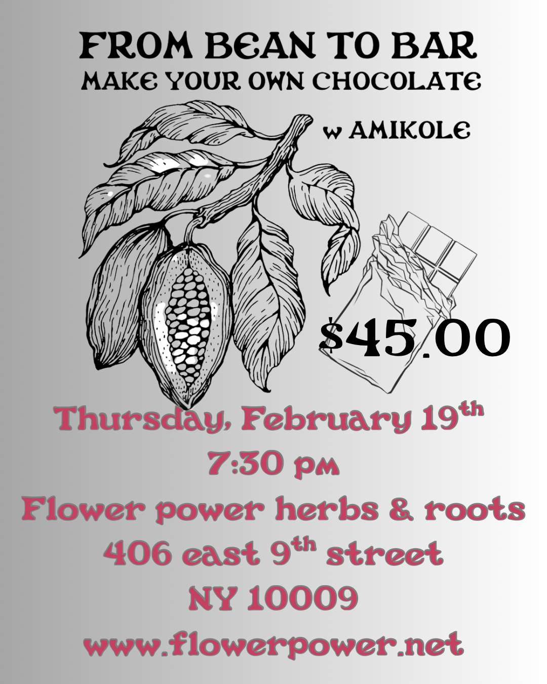 From bean to bar Chocolate making with Amikole