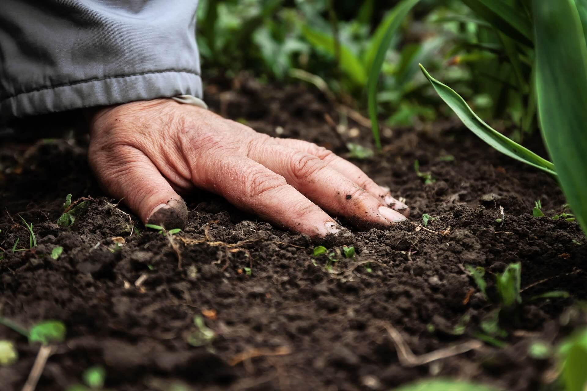 Organic_Fertilizer_Farmer.jpeg
