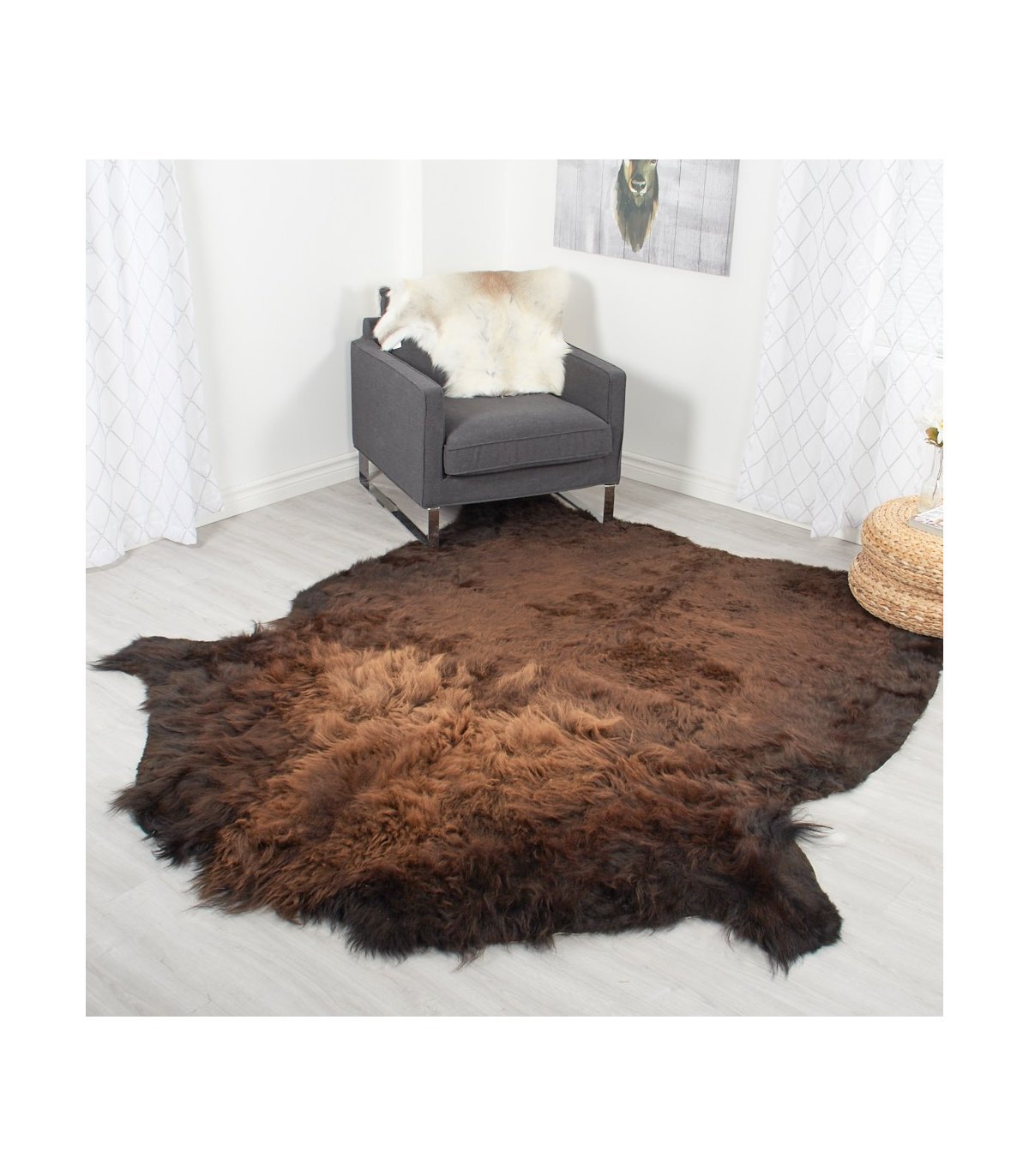 Bsion Rug 2.jpeg