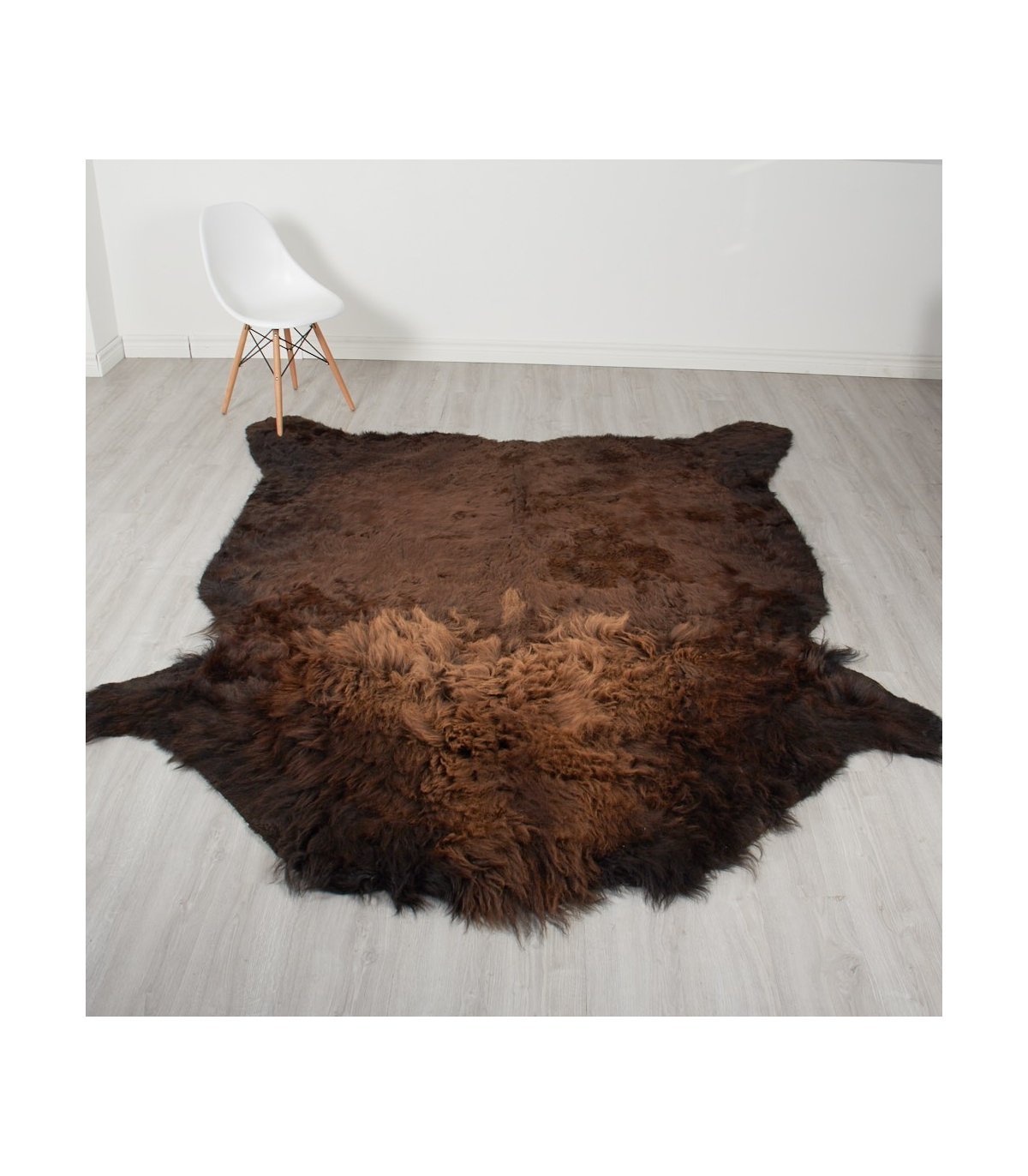 Bison Rug 1.jpeg