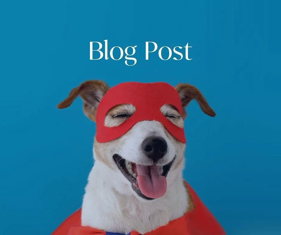 Blog Post! 🌟

Everyone that knows me knows that I dress my pups up for Halloween like they are my kids! (Because they are 😋) 

Check out the Link in my Bio for the best DIY costumes for your pets this Halloween! 🎃👻

#BlogPost
#SoldonStephanie⁠
#Y