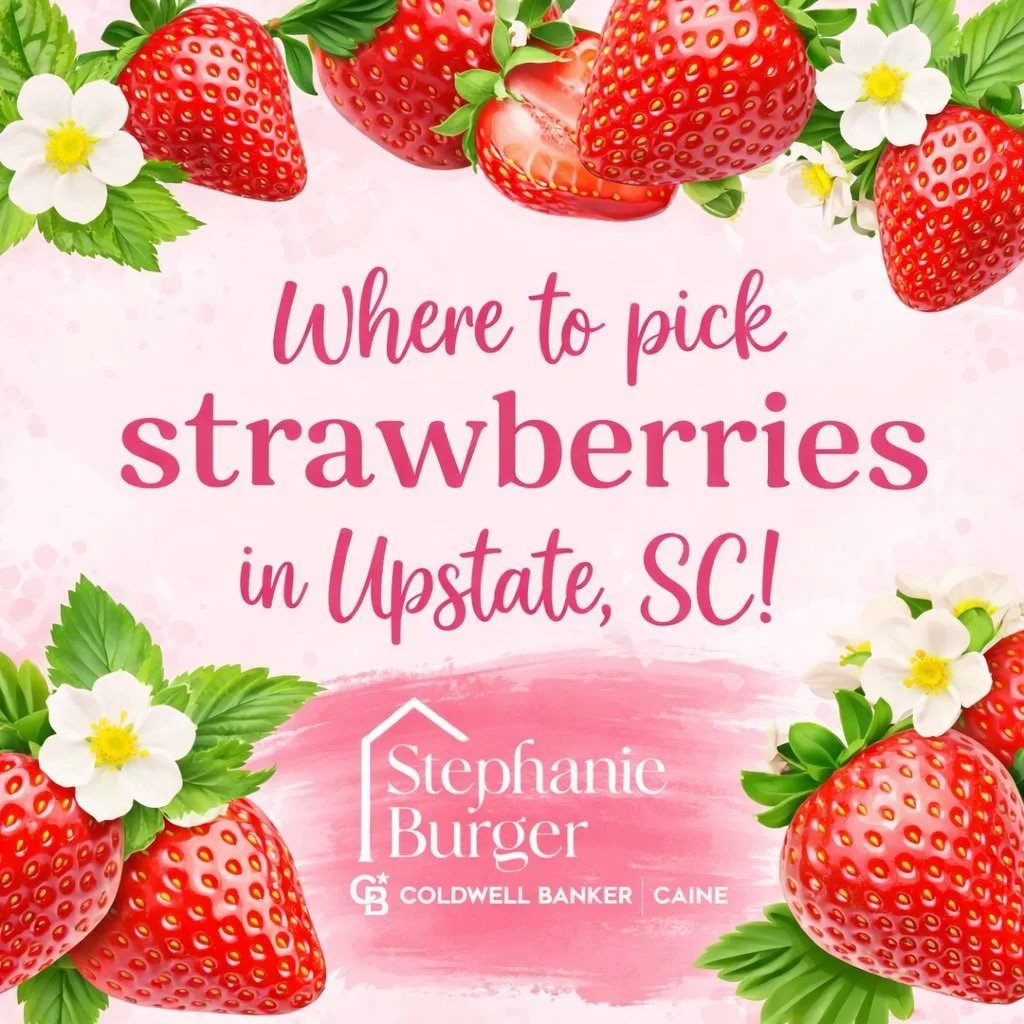 Greenville, SC really is the best for finding fun things to do! 🌿🍓

Strawberry picking season is here, and there are so many local farms around Greenville, Spartanburg, and Anderson where you can pick your own fresh berries.
It&rsquo;s such a simpl