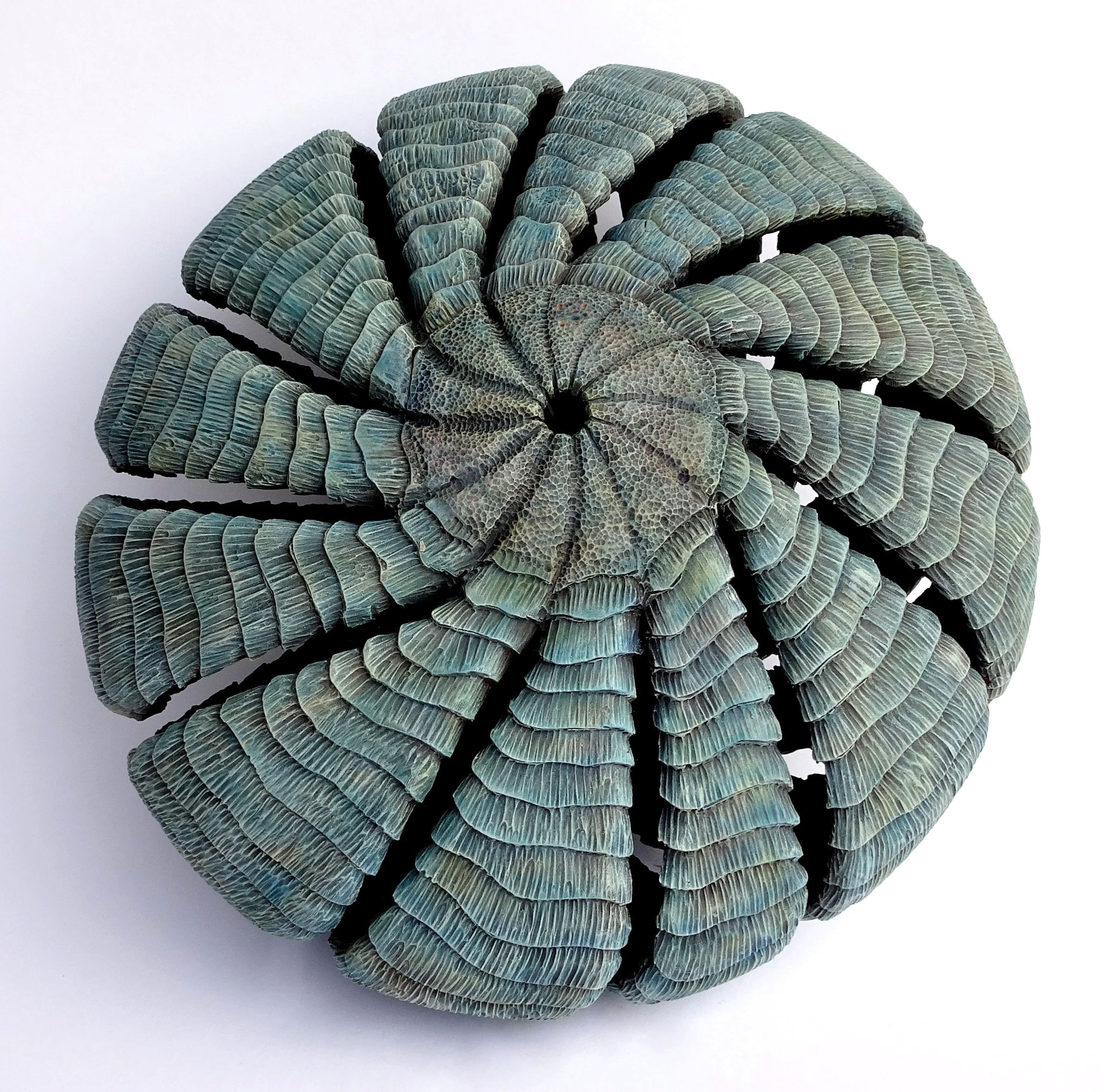 Top view of a Steve Miller sculptural turned wood vessel. This blue anemone inspired form features spiral ribbing carved with a scalloped pattern.