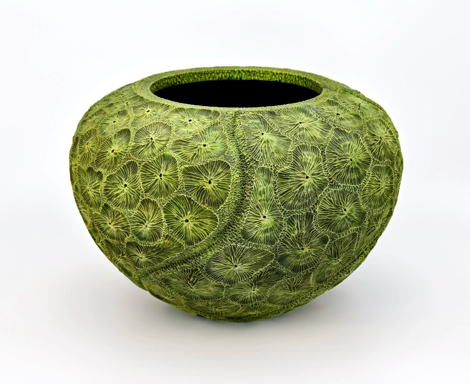 Moss green CORAL REEF BOWL ~ Maple  Turned wood, carved and textured with pyrography, painted with acrylics. Dimensions: 7"h x 10"w