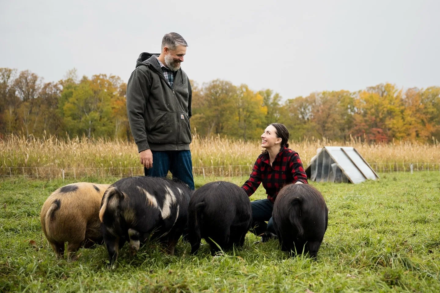 I know, I know, I haven&rsquo;t posted in ages 😅 things have been BUSY busy. 

This week, the incredible @lavendergreenphoto made the drive out to the farm to help capture our little slice of happiness! I&rsquo;m absolutely trying my hardest to not 