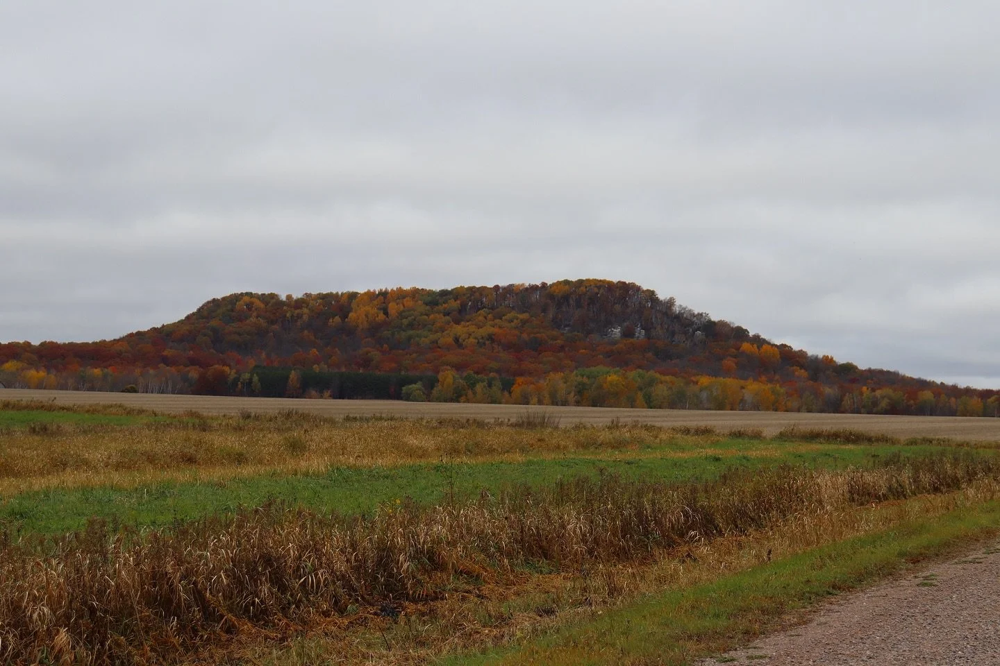 Honestly, it doesn’t get much better than Autumn in Wisconsin. Everything is crisp and vibrant and holding onto their last bits of life before winter arrives.