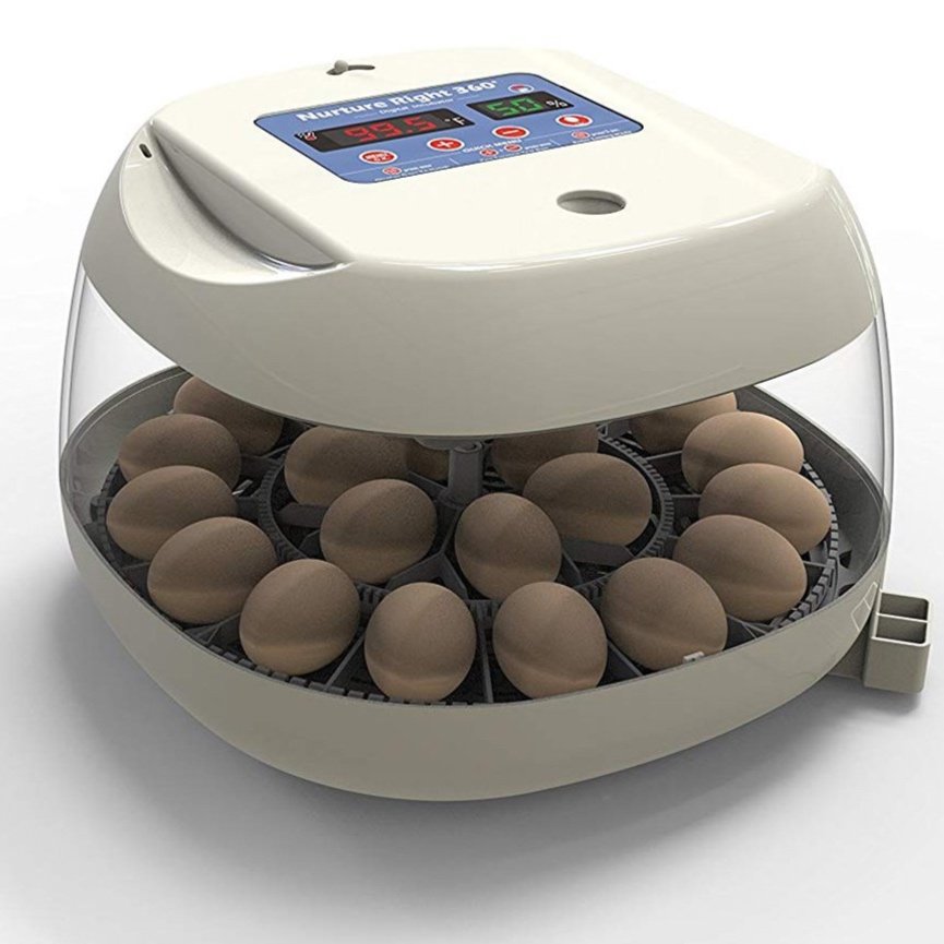 Review Harris Farms Nurture Right 360° Egg Incubator — Allen & Emily