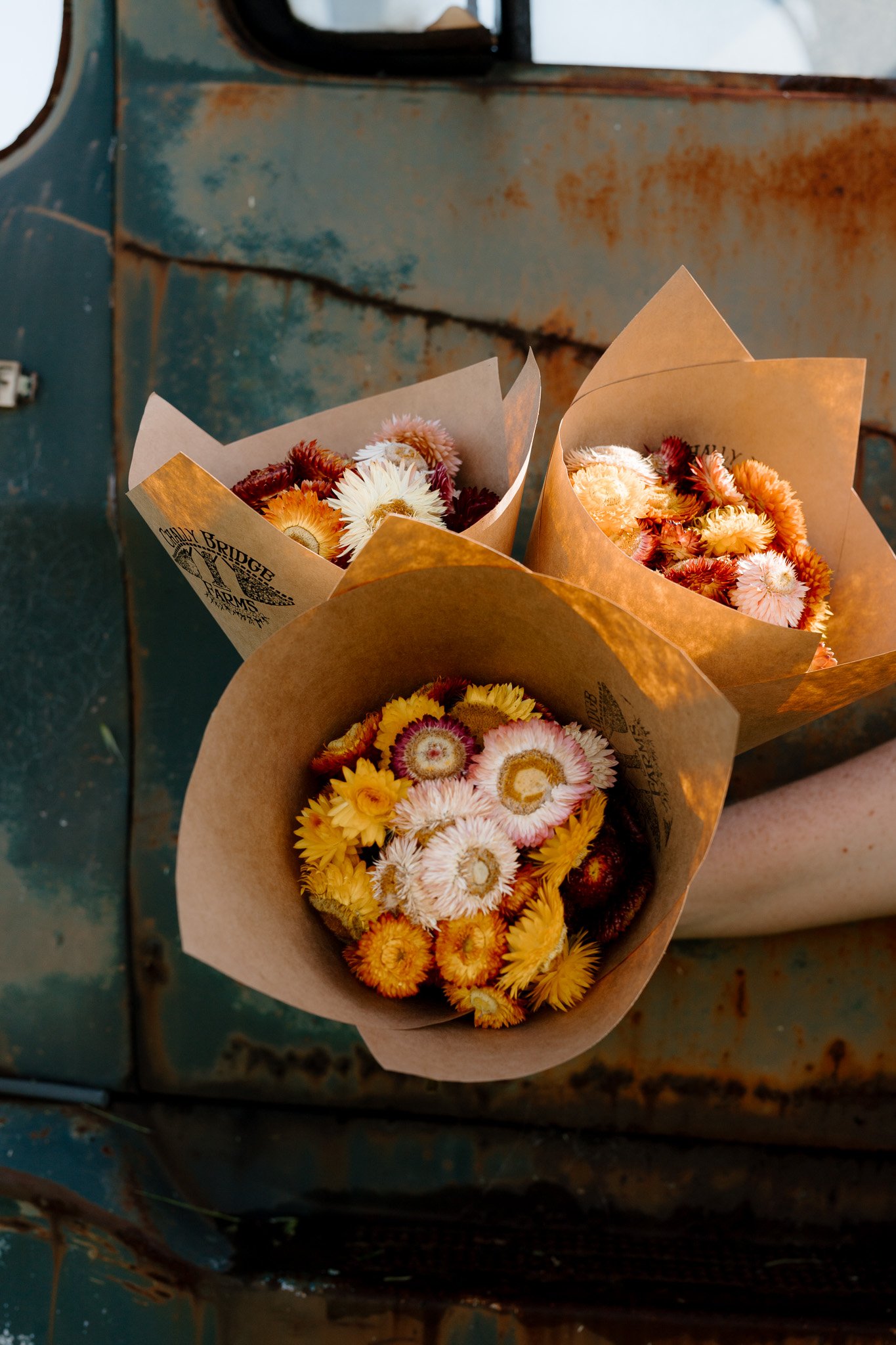 ChallyBridgeFarms-Sept2024-SML-200.jpg