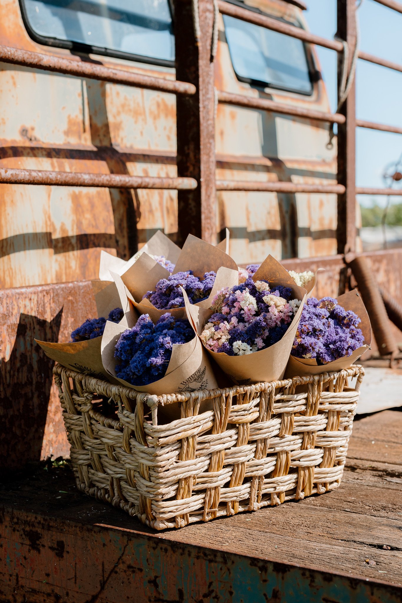 ChallyBridgeFarms-Sept2024-SML-229.jpg
