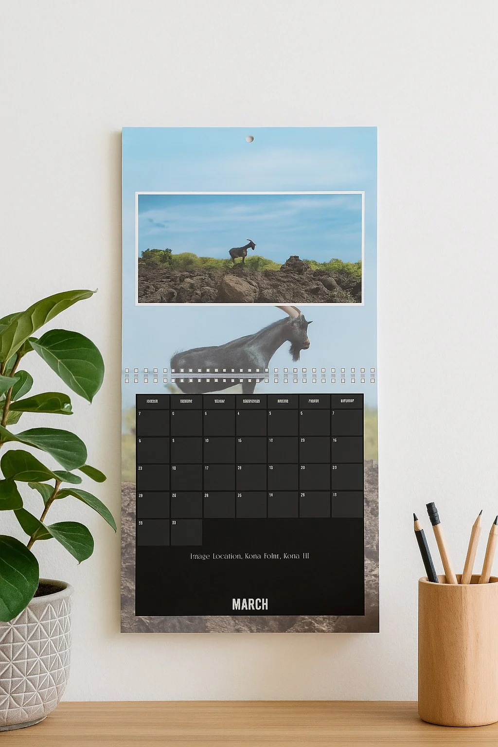 Through My Lens - 2025-20.jpg