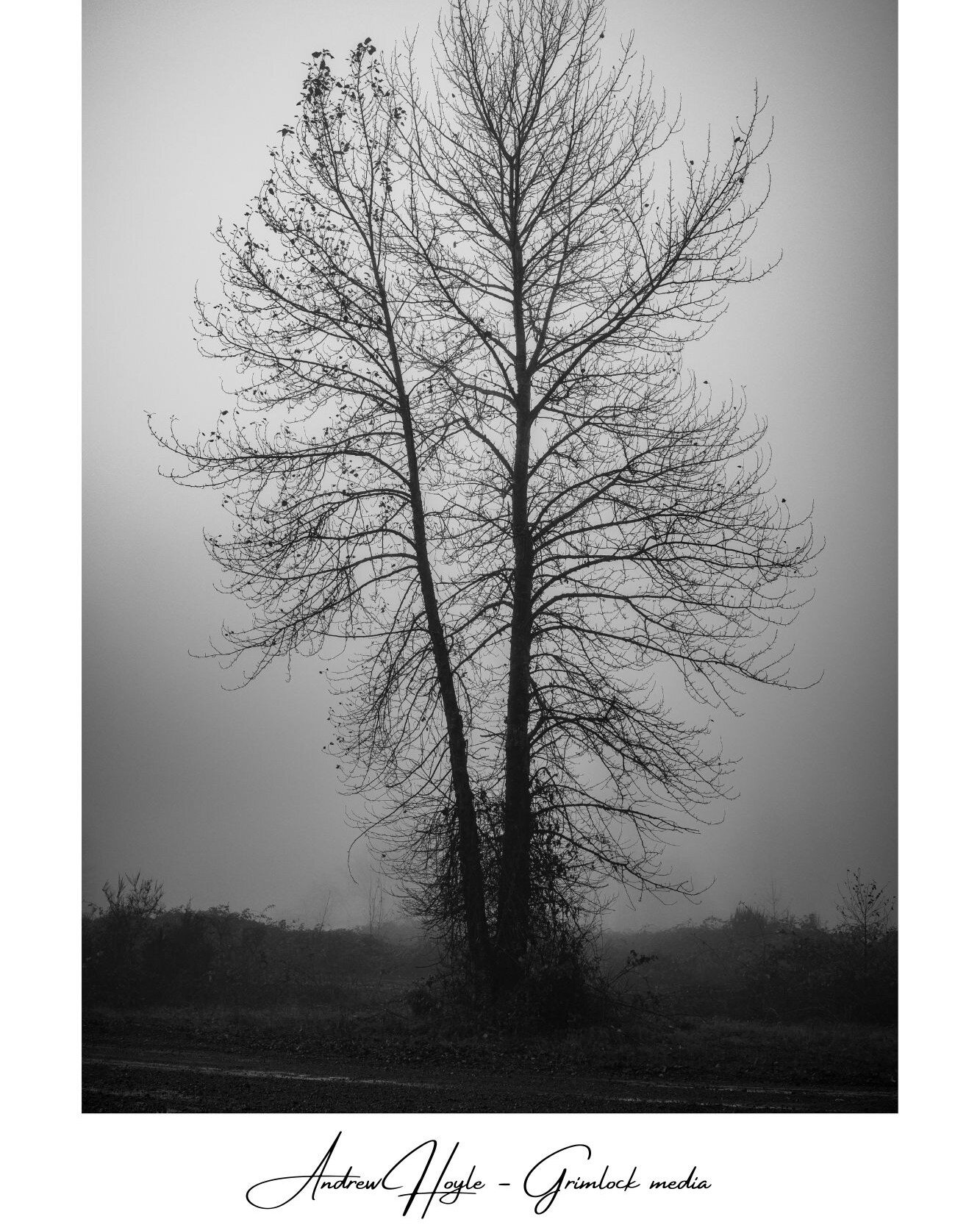 Happy Birthday to me, and I hope you're having a fantastic weekend as well. The final &quot;Behind the Photo&quot; Grim-blog post is up and ready to read.

I've had an absolute blast writing these blogs, and I know I'll continue to write more as well
