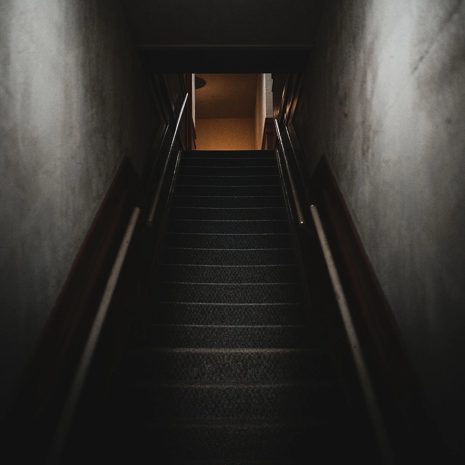 8240581.jpg