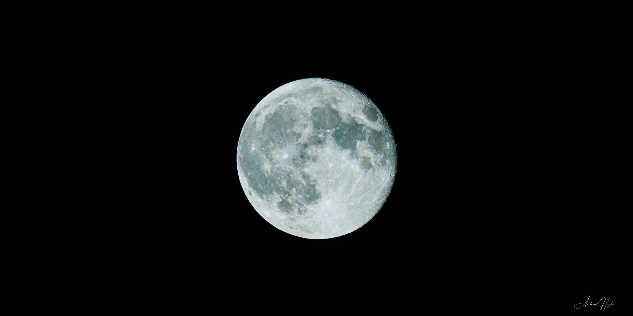 2024 - _-28.jpg