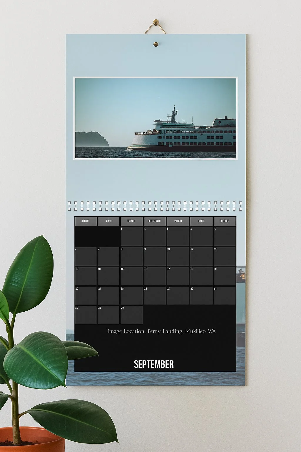 Through My Lens - 2025-19.jpg