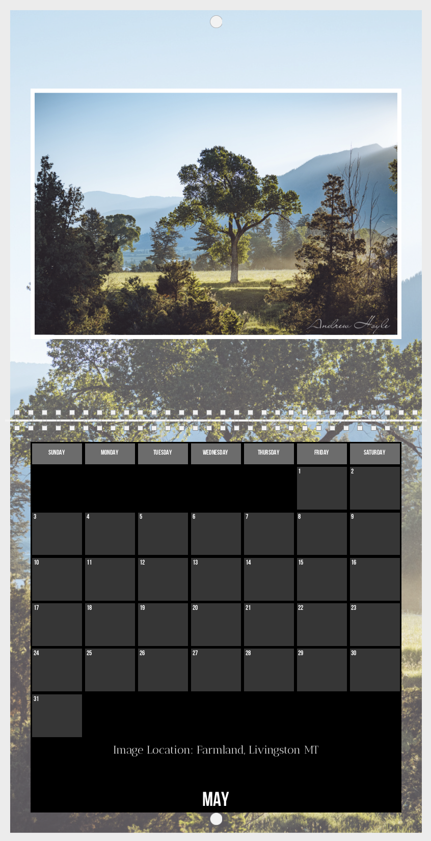 Screenshot 2025-11-05 at 3.14.22 AM.png