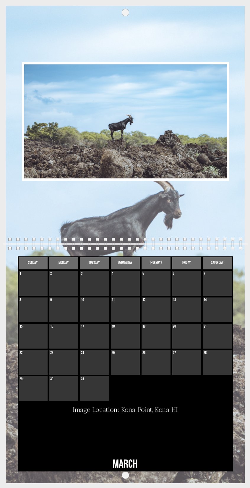 Screenshot 2025-11-05 at 3.14.06 AM.png