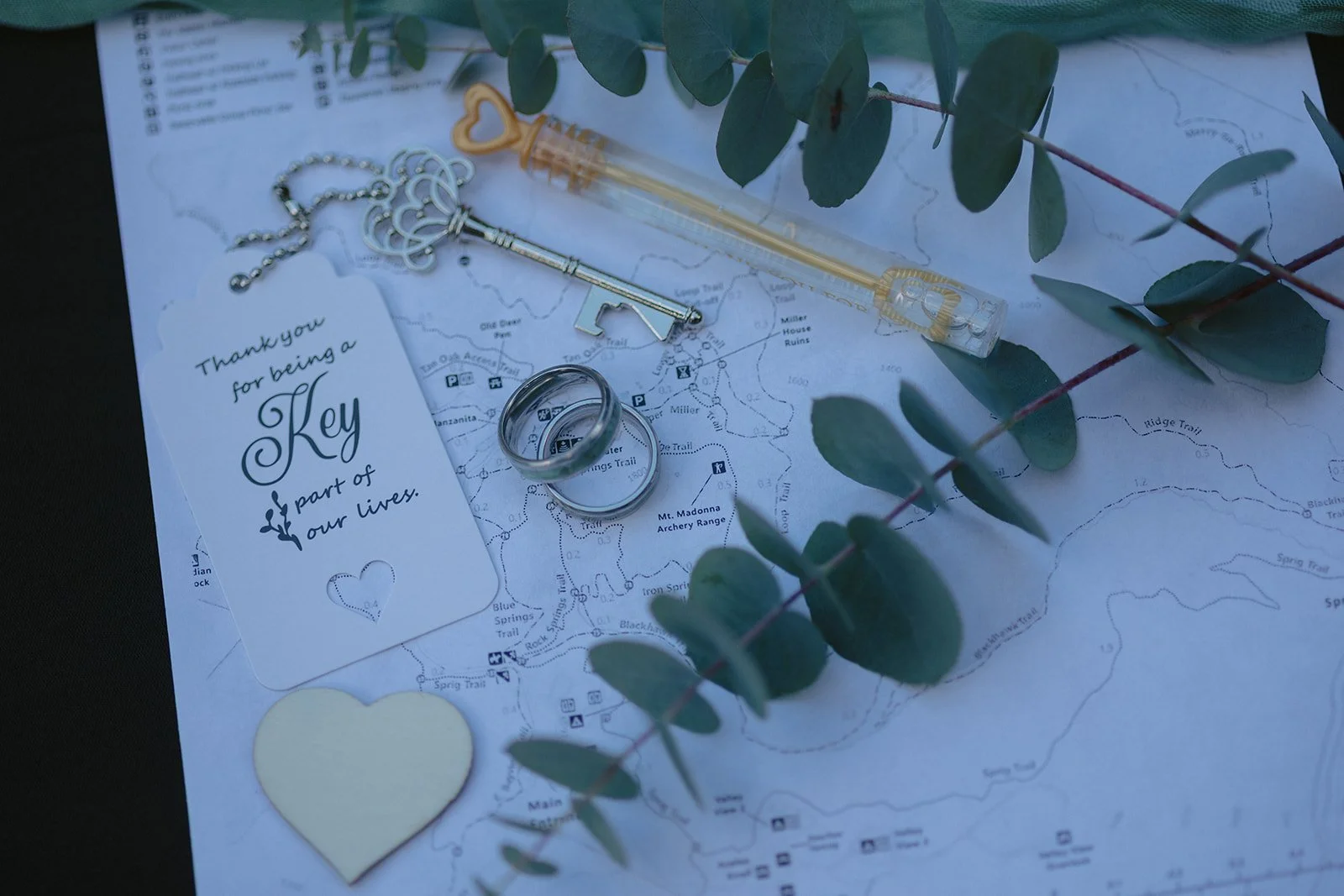 A Moody Mt. Madonna State Park Wedding in the Santa Cruz Redwoods