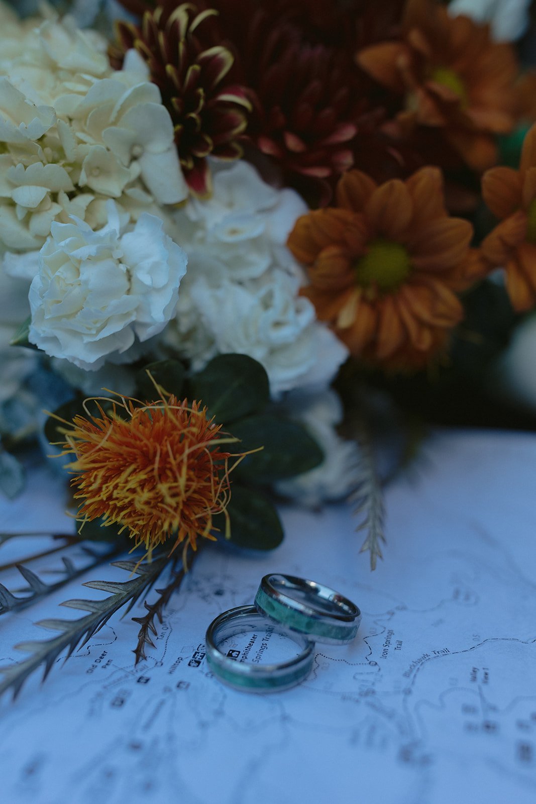 A Moody Mt. Madonna State Park Wedding in the Santa Cruz Redwoods