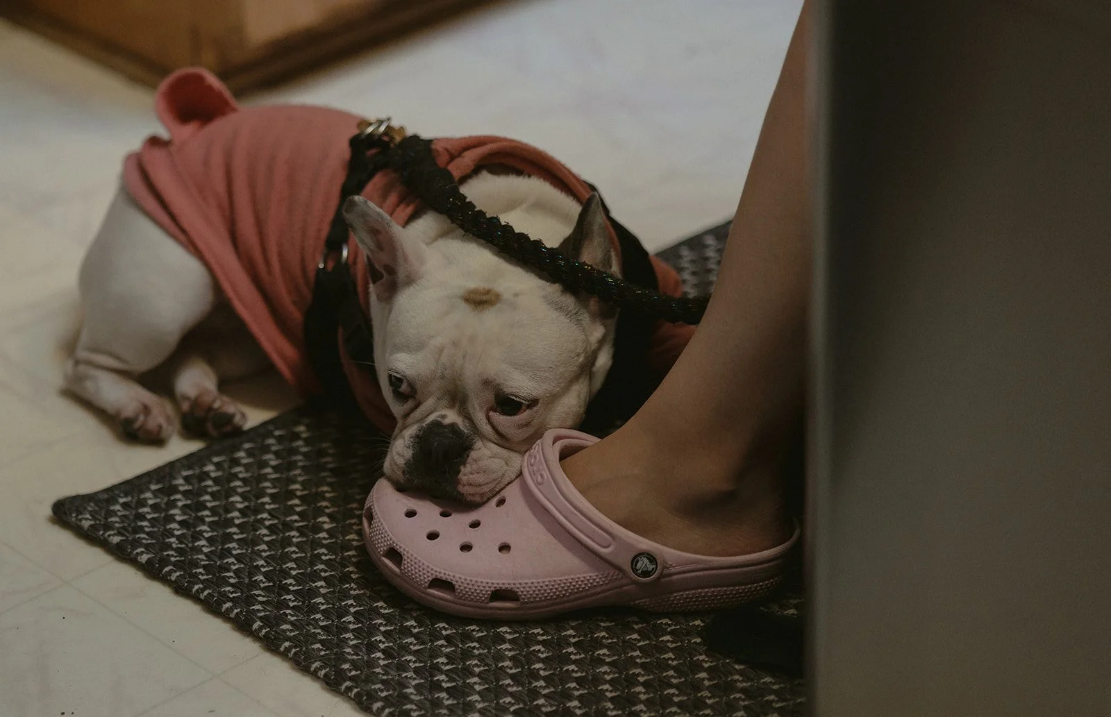 A Moody Mt. Madonna State Park Wedding in the Santa Cruz Redwoods
