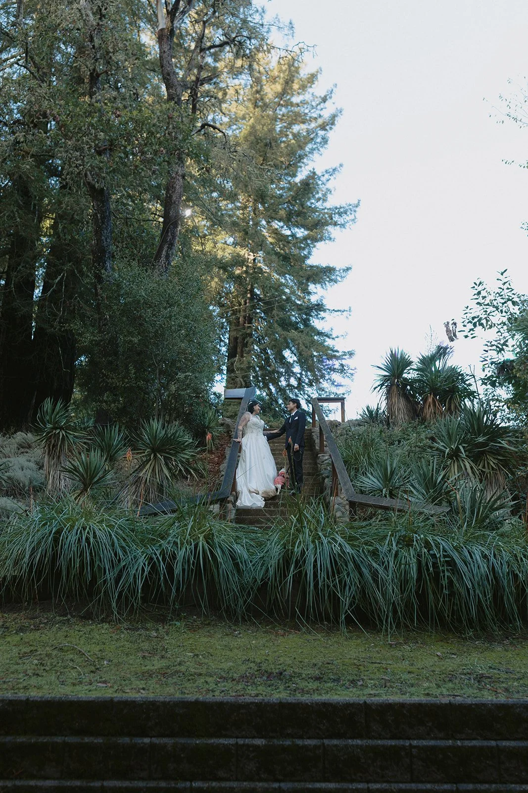 A Moody Mt. Madonna State Park Wedding in the Santa Cruz Redwoods