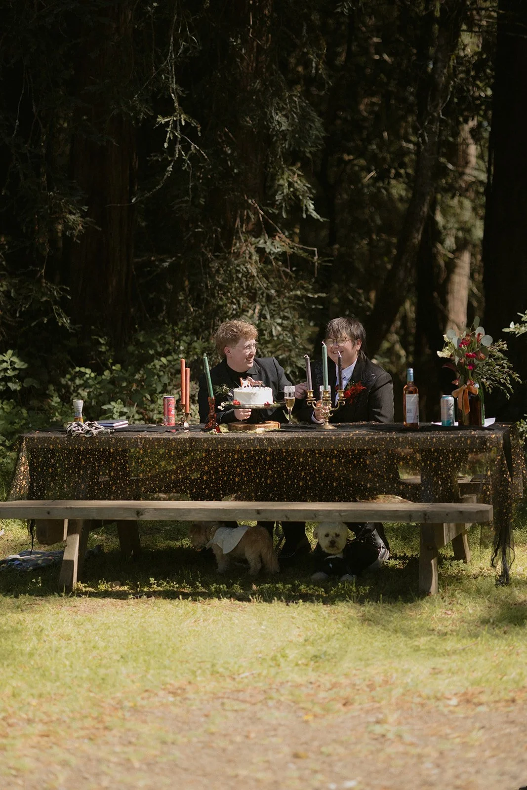 An Intimate Mt. Madonna County Park Wedding in the Redwoods | Peter &amp; Jason