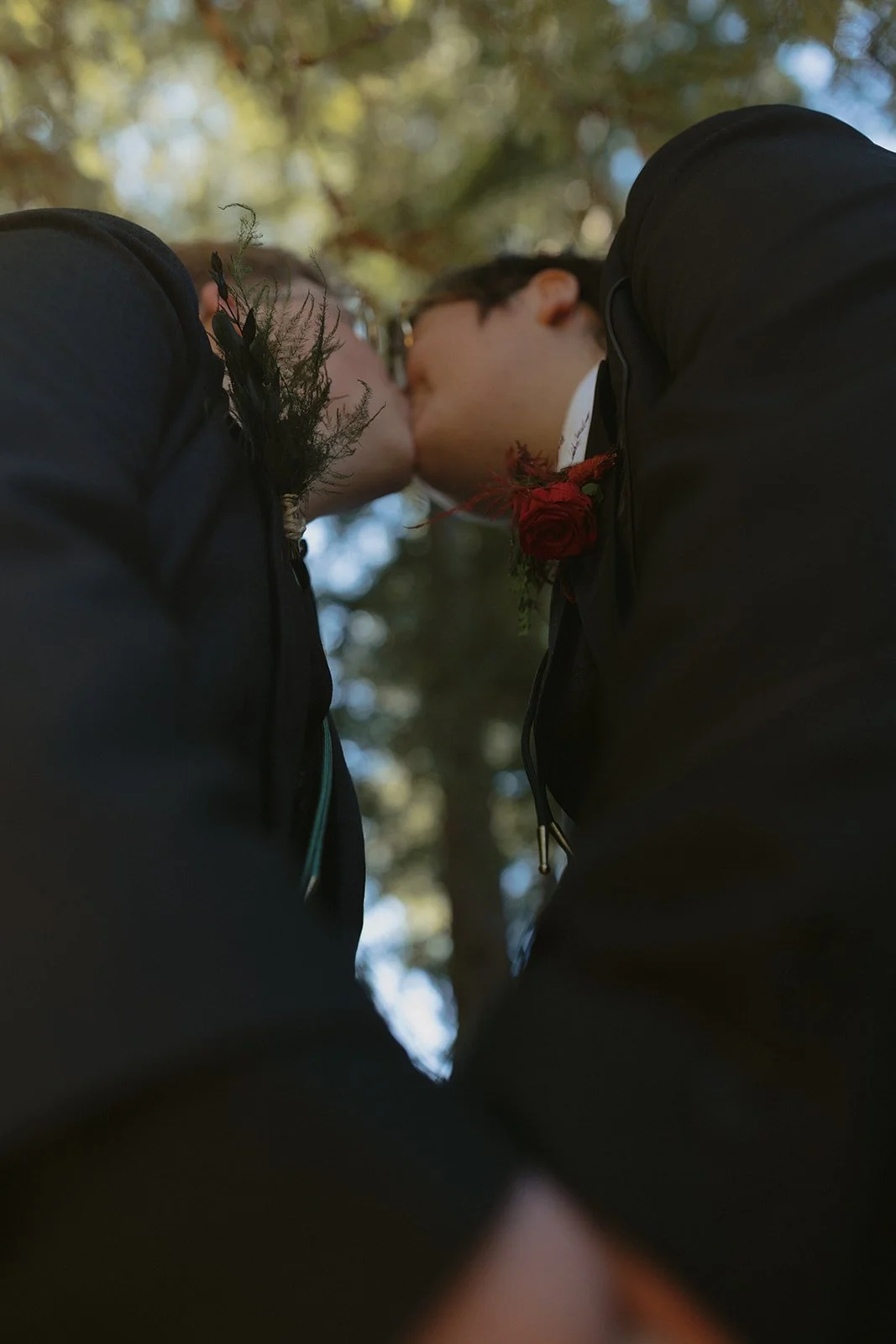 An Intimate Mt. Madonna County Park Wedding in the Redwoods | Peter &amp; Jason