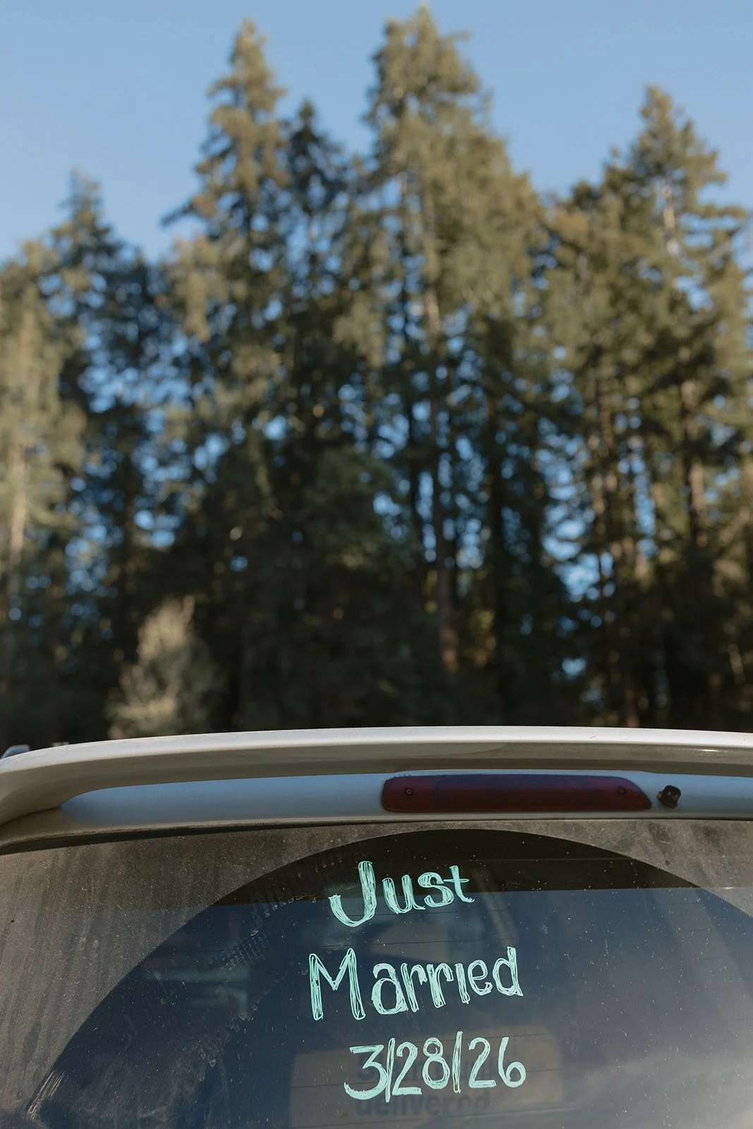 An Intimate Mt. Madonna County Park Wedding in the Redwoods | Peter &amp; Jason