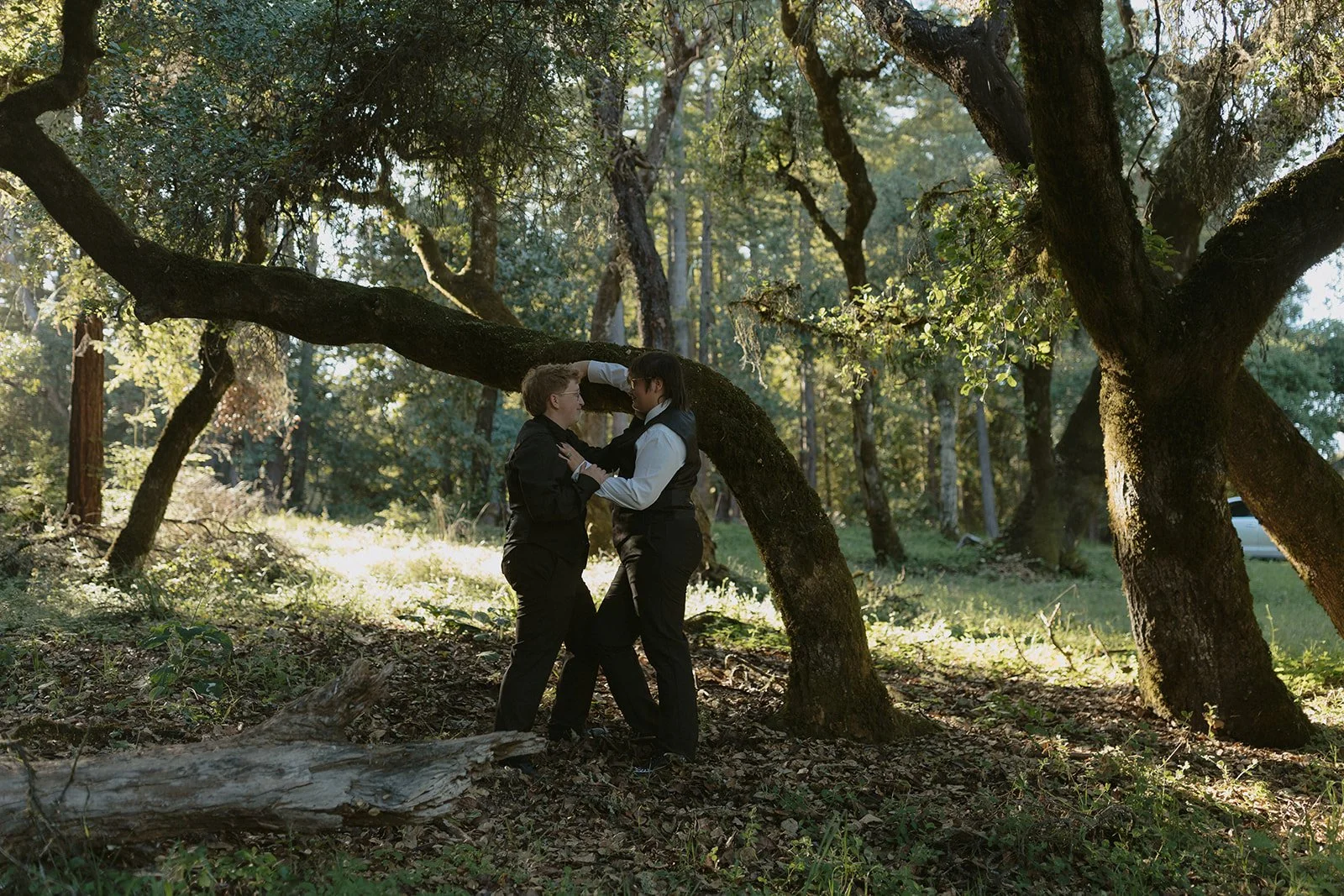 An Intimate Mt. Madonna County Park Wedding in the Redwoods | Peter &amp; Jason