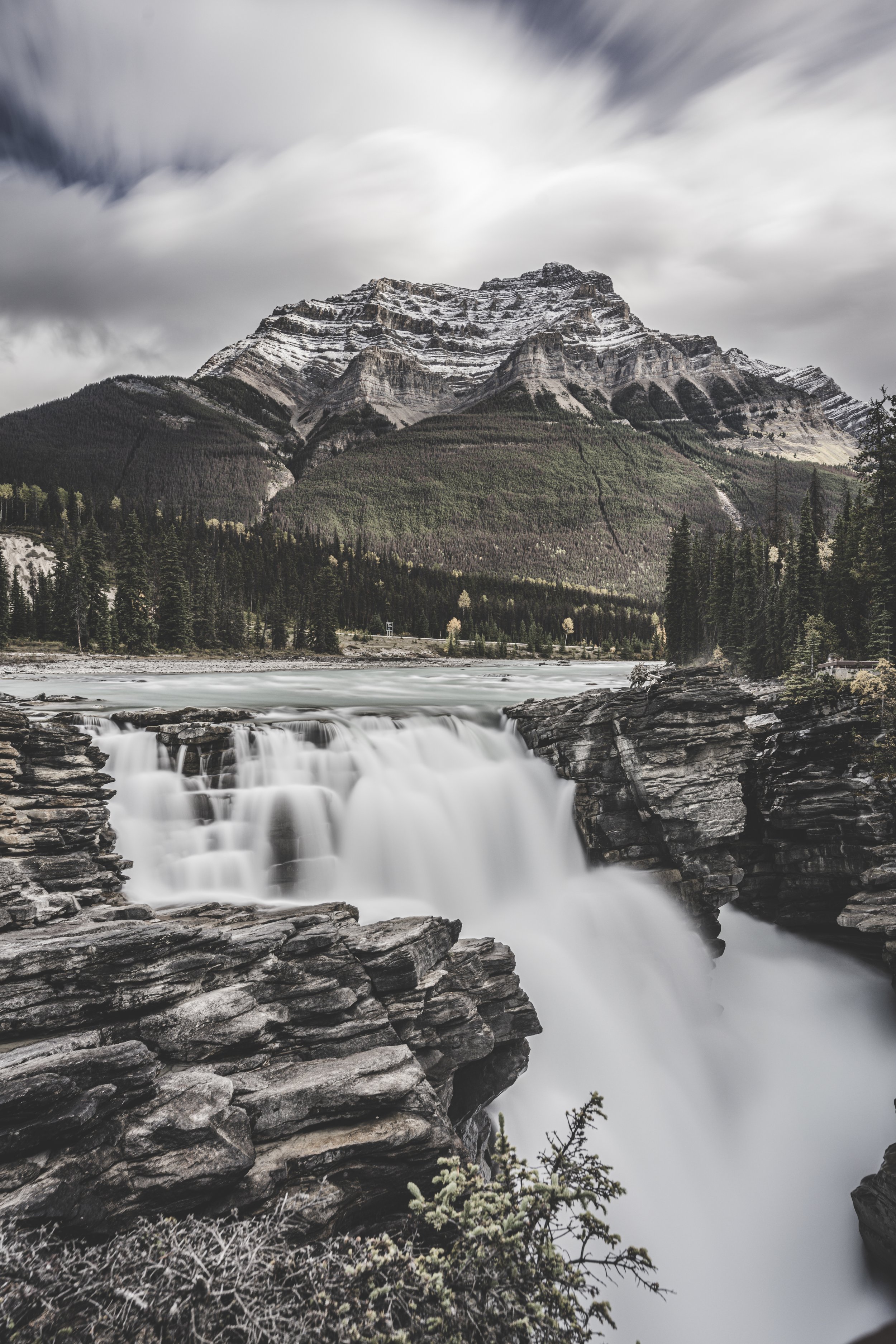 _DSC3509-2.jpg