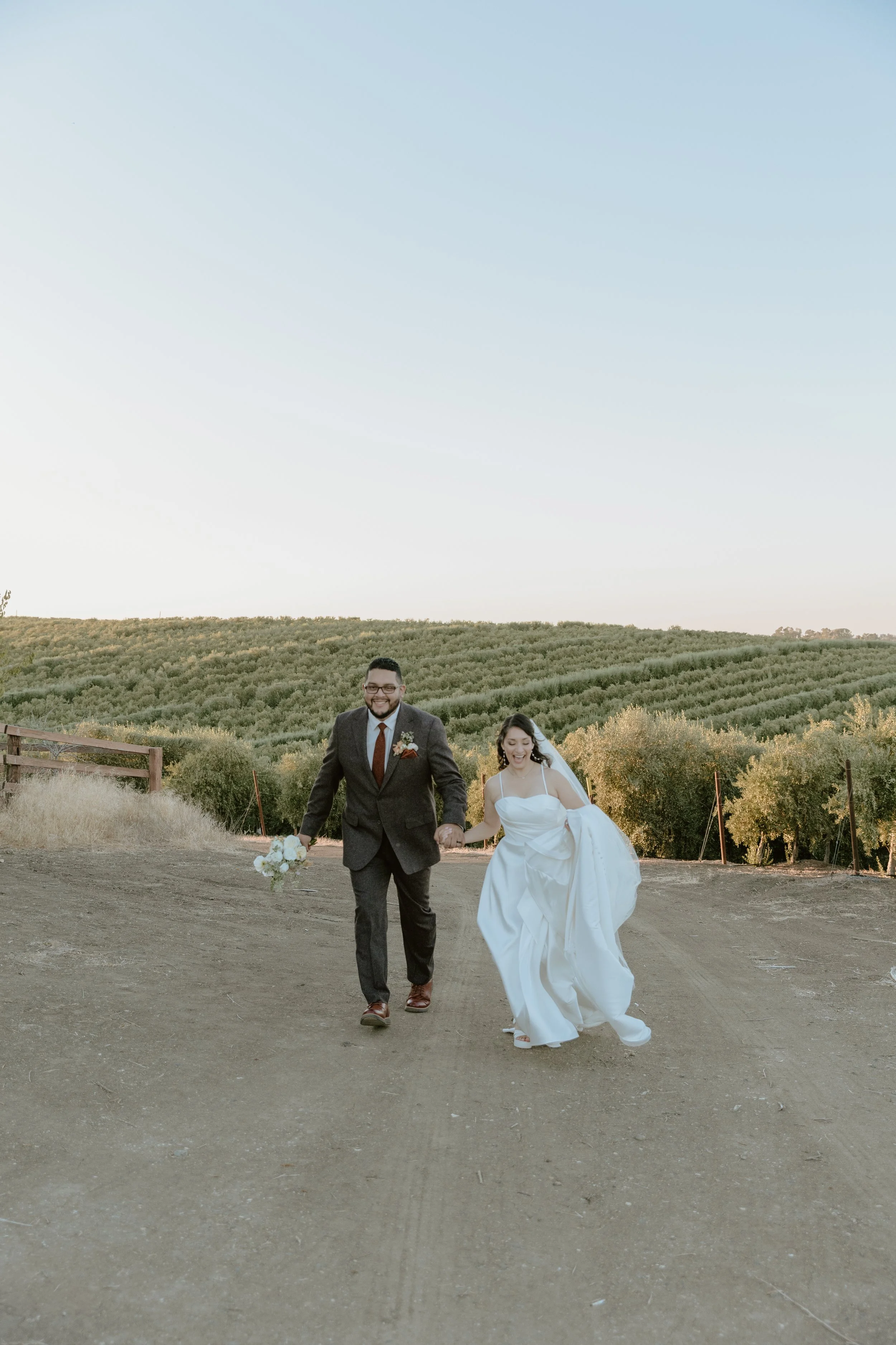 G & E - Olive Hill Estate
