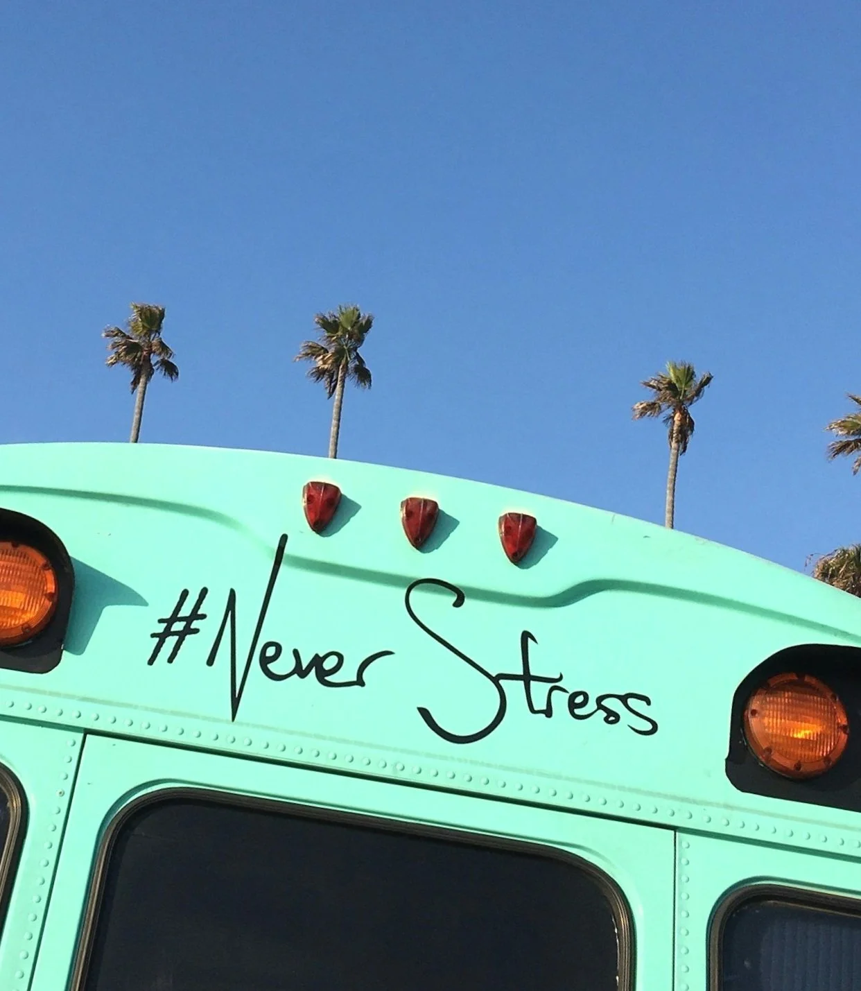 The Hidden Link: How Lowering Stress Can Help Manage Autoimmune Disorders.