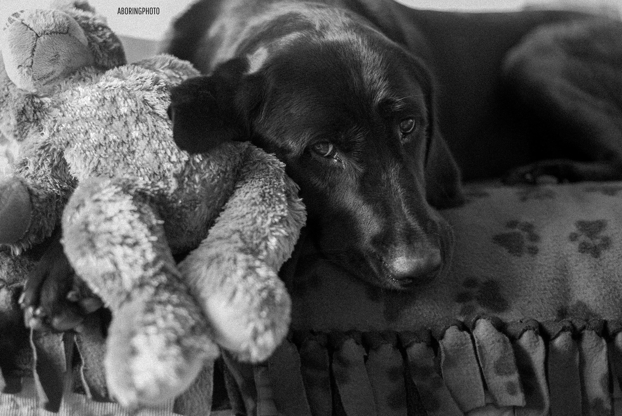 If I Could Turn Back Time 