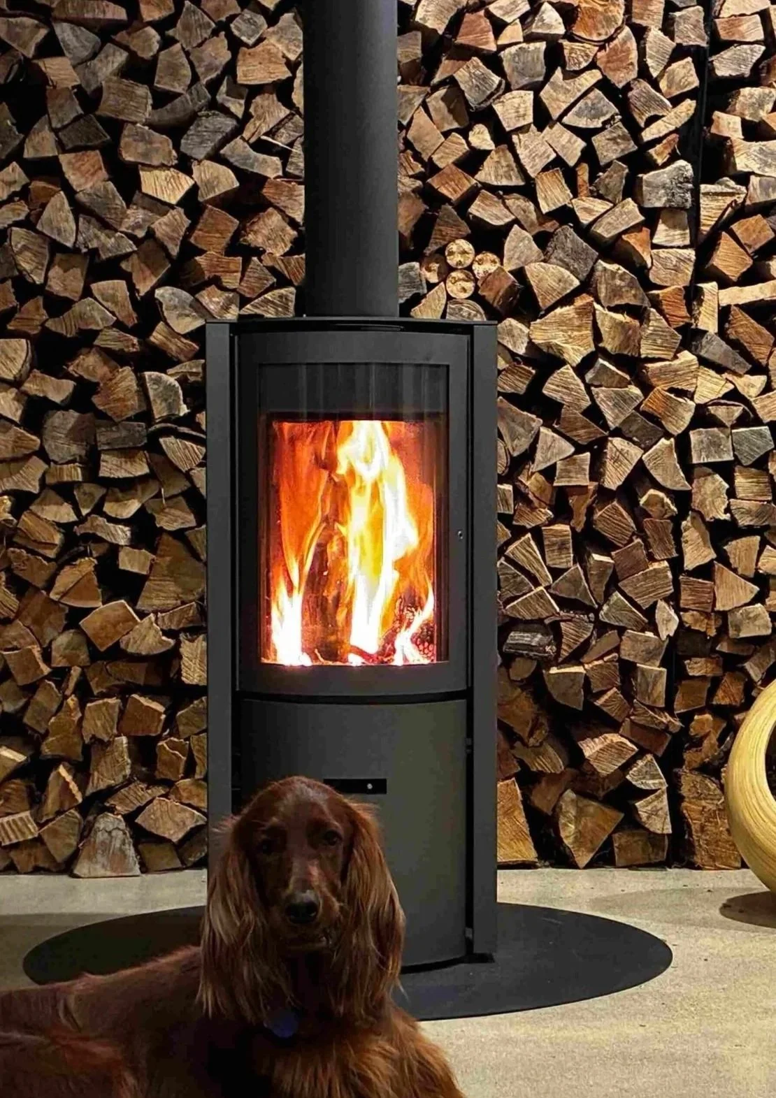 A black wood stove with a large glass door showing a burning fire inside, against a background of neatly stacked firewood. There is a dog with long fur and a collar sitting in front of the stove.