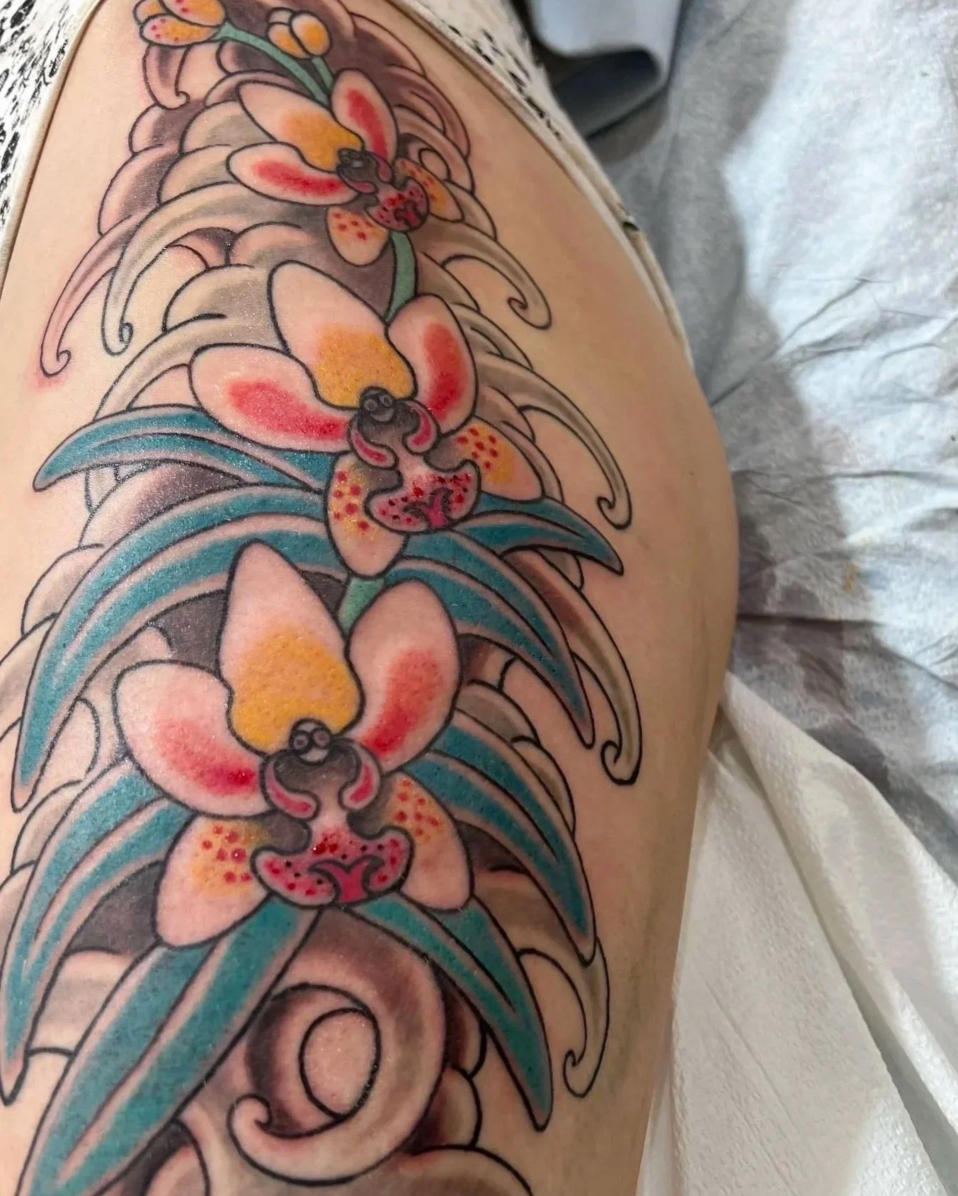 Filipino orchid waling waling waves