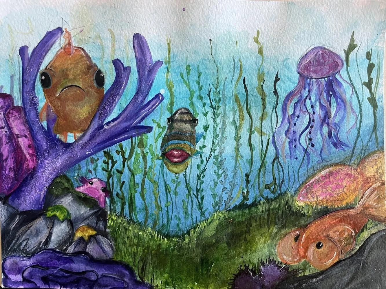 Fish.