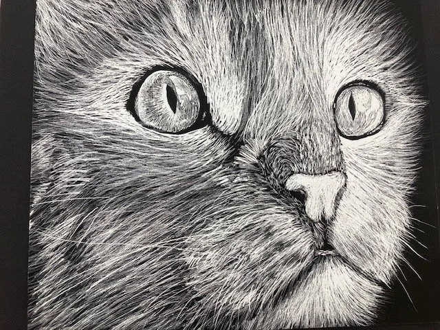 Scratch art cat
