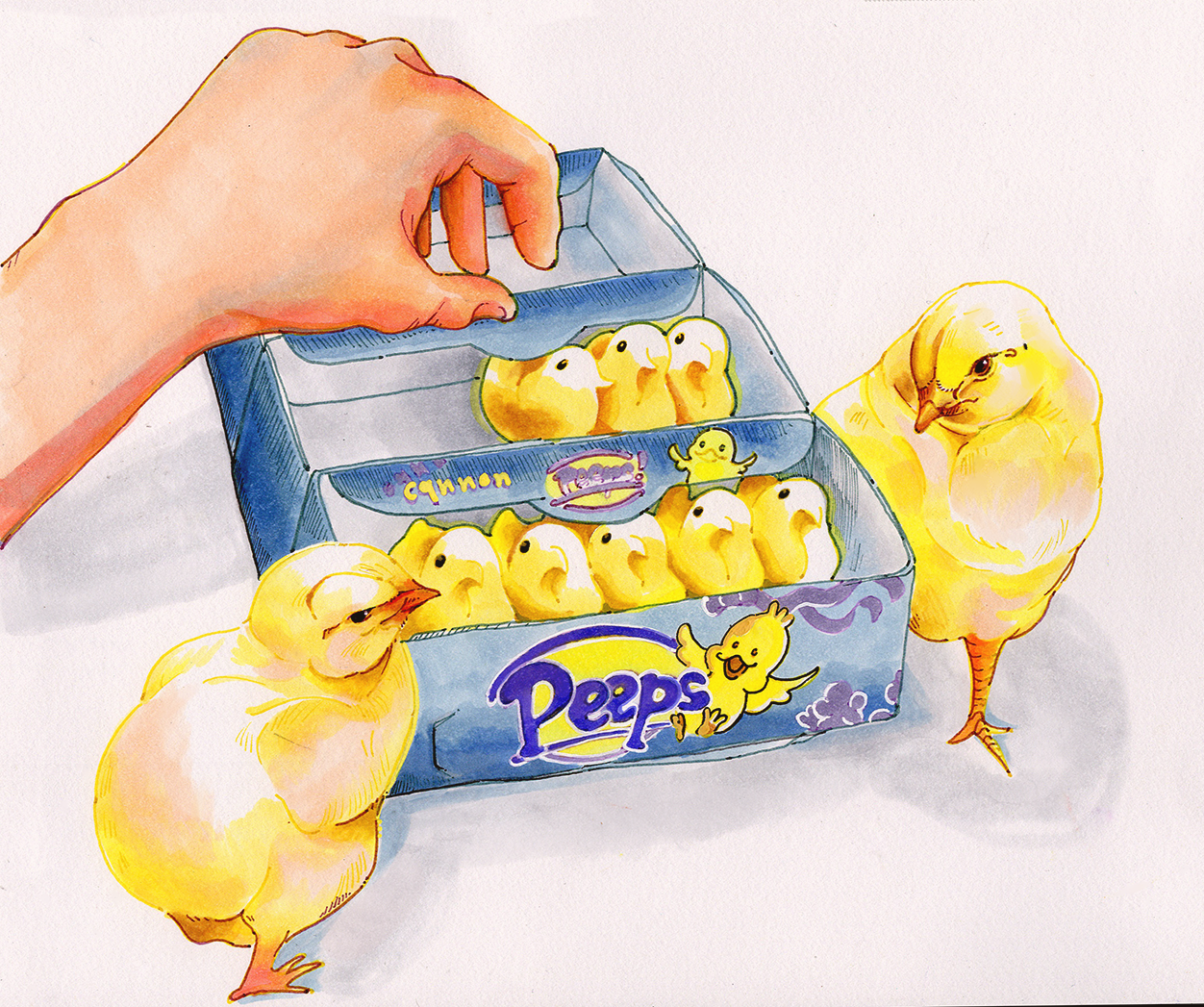 A Peep of Peeps