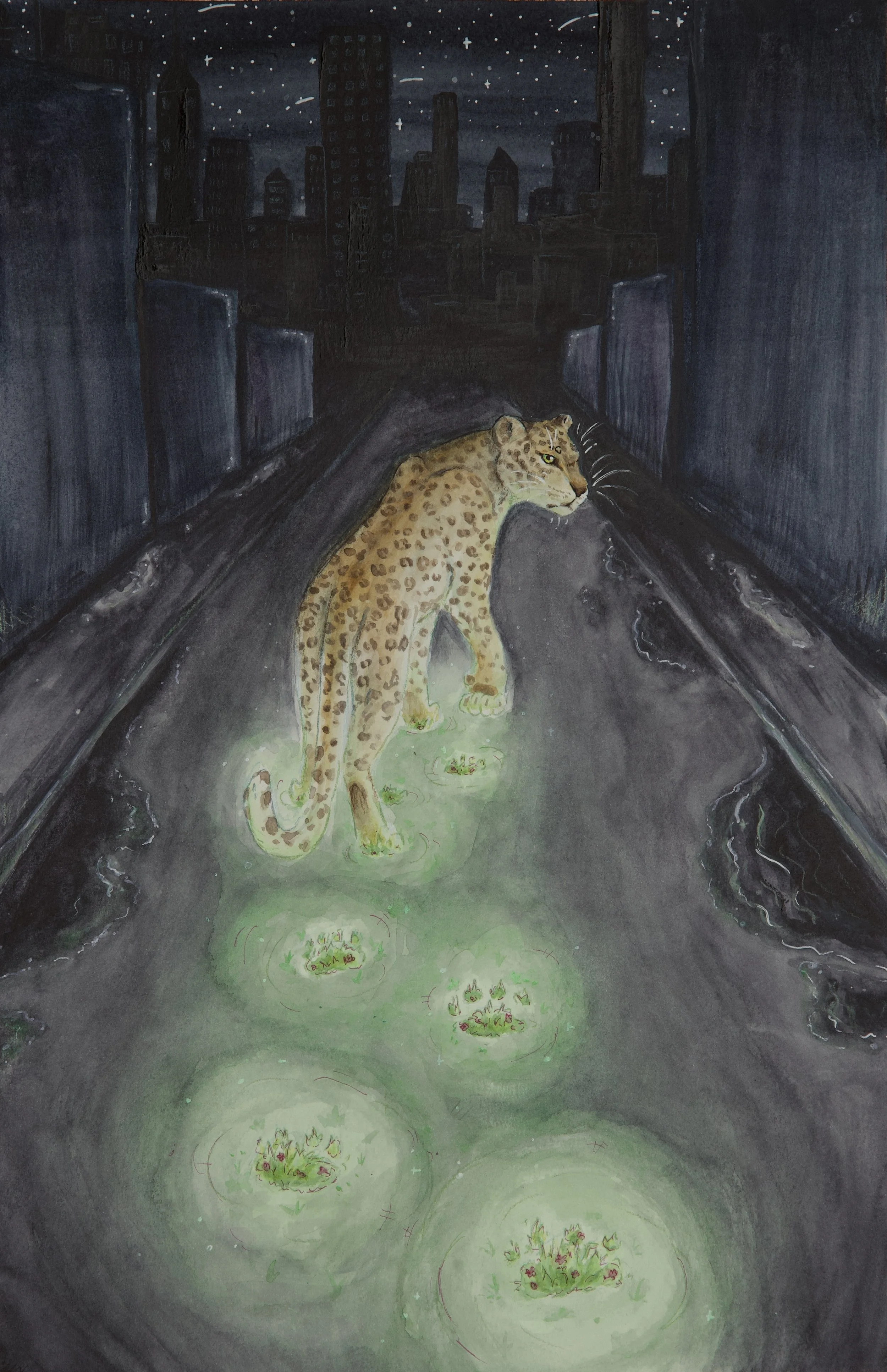 Growing in the Grey