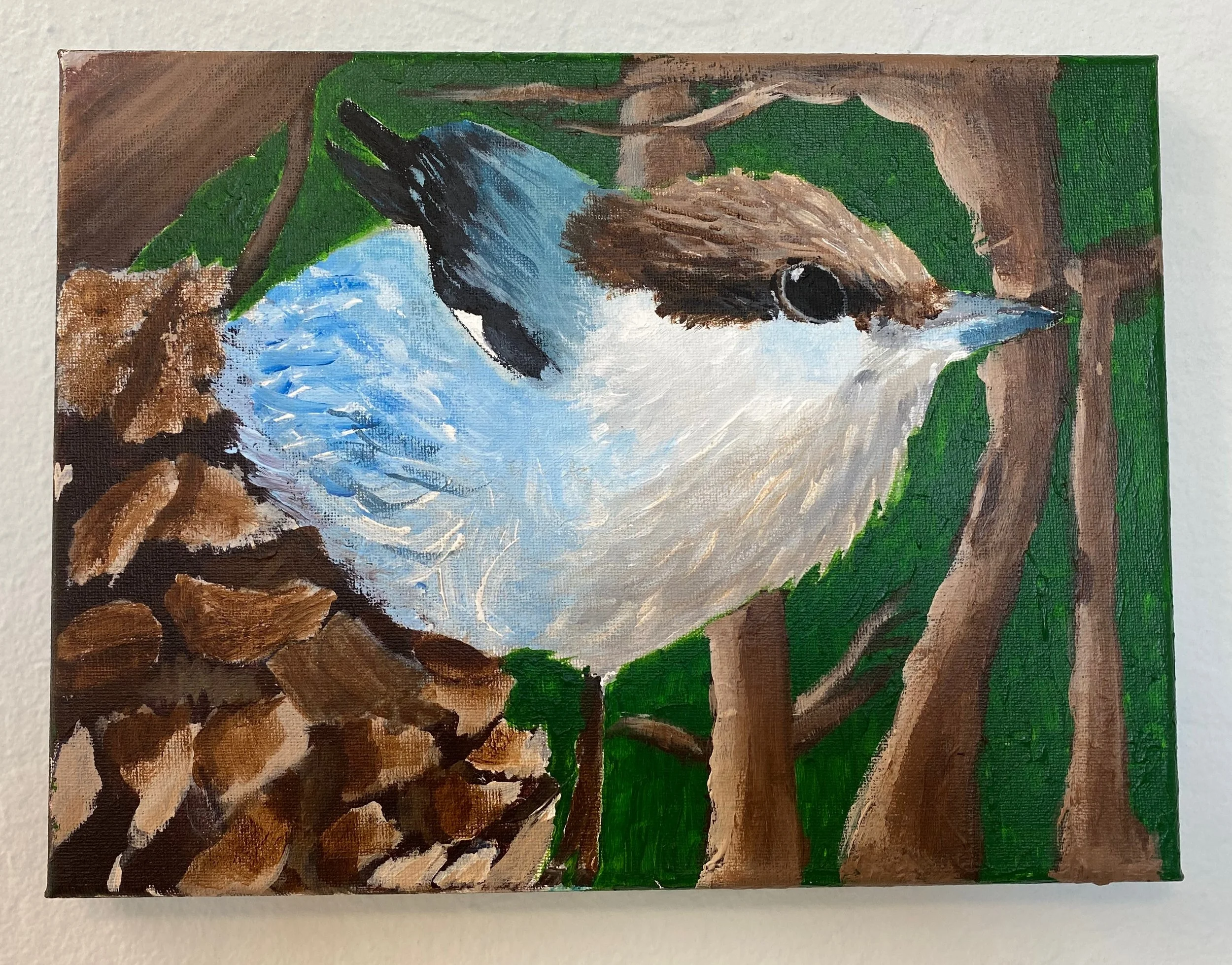 Cerulean Warbler