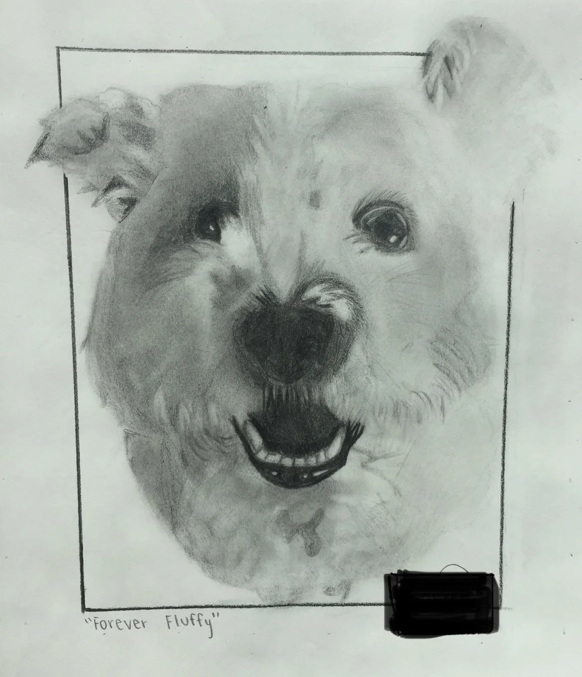 Forever Fluffy
