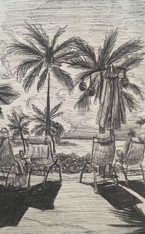 Palm Trees