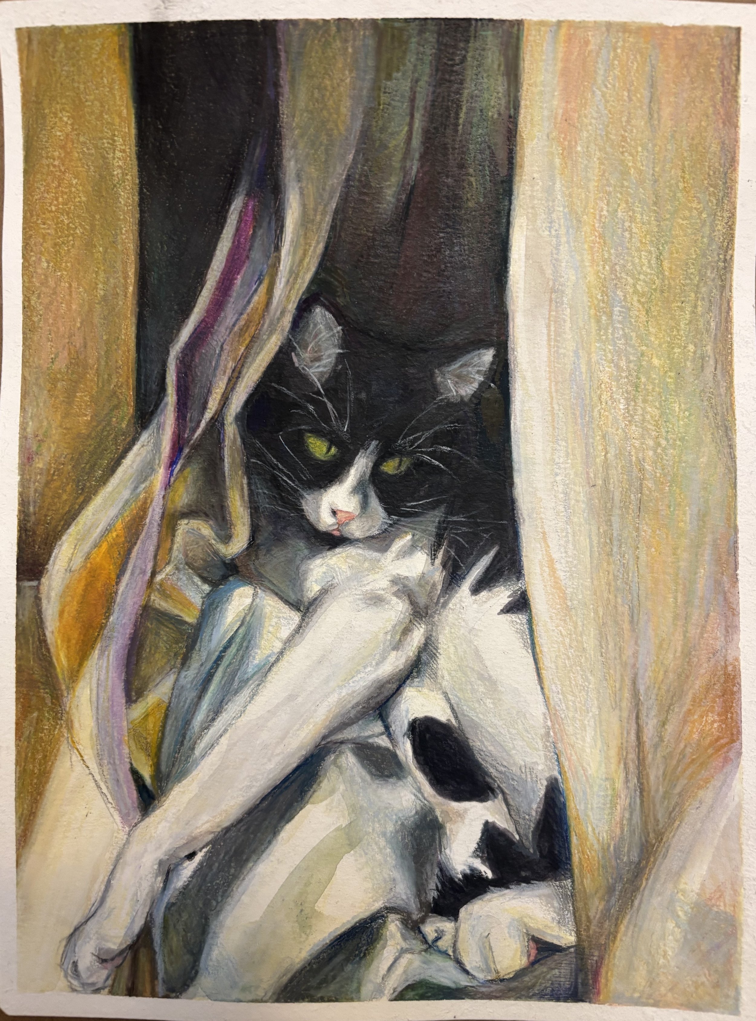 Cat Sun-bathing by Window
